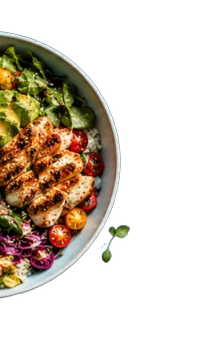 Fresh Mediterranean grilled chicken salad bowl
